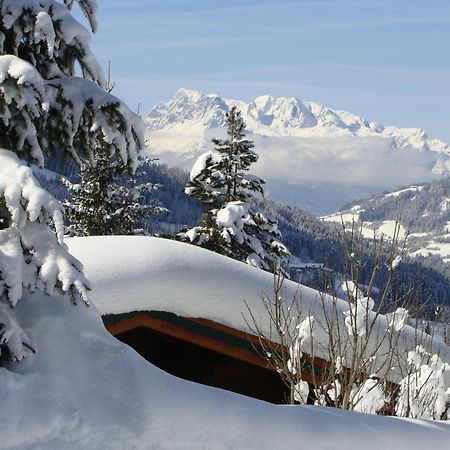 Chalets Ebner Эбен  Экстерьер фото